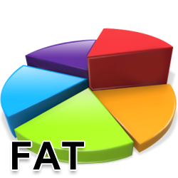 FAT Partition