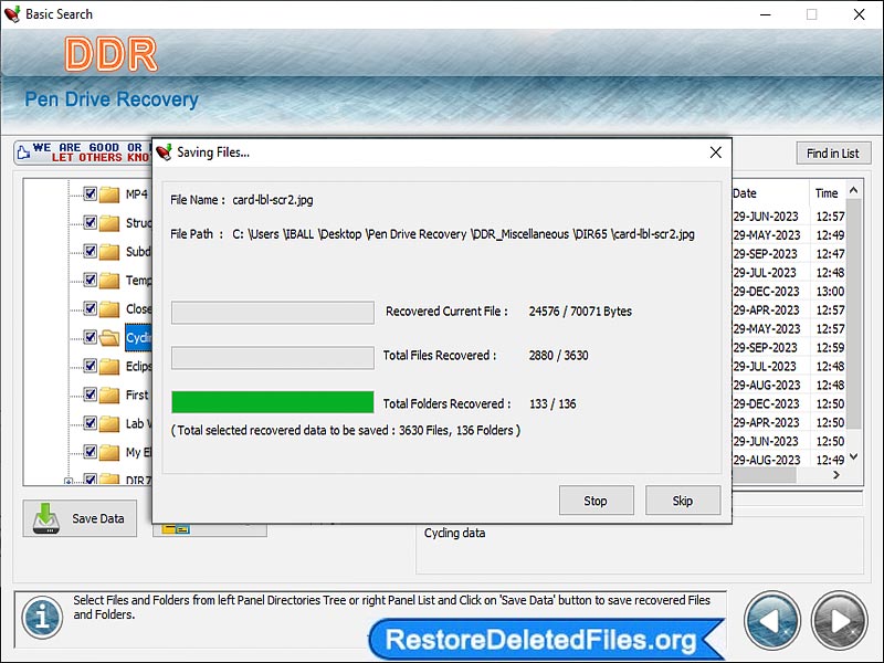 Screenshot of USB Drive Files Restore