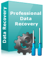 Restore Files - DDR Professional