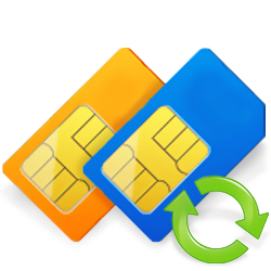 Sim Card